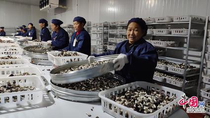 23省市2100余款產(chǎn)品齊聚全國菌博會(huì)，《中國食用菌產(chǎn)業(yè)年鑒》即將發(fā)布